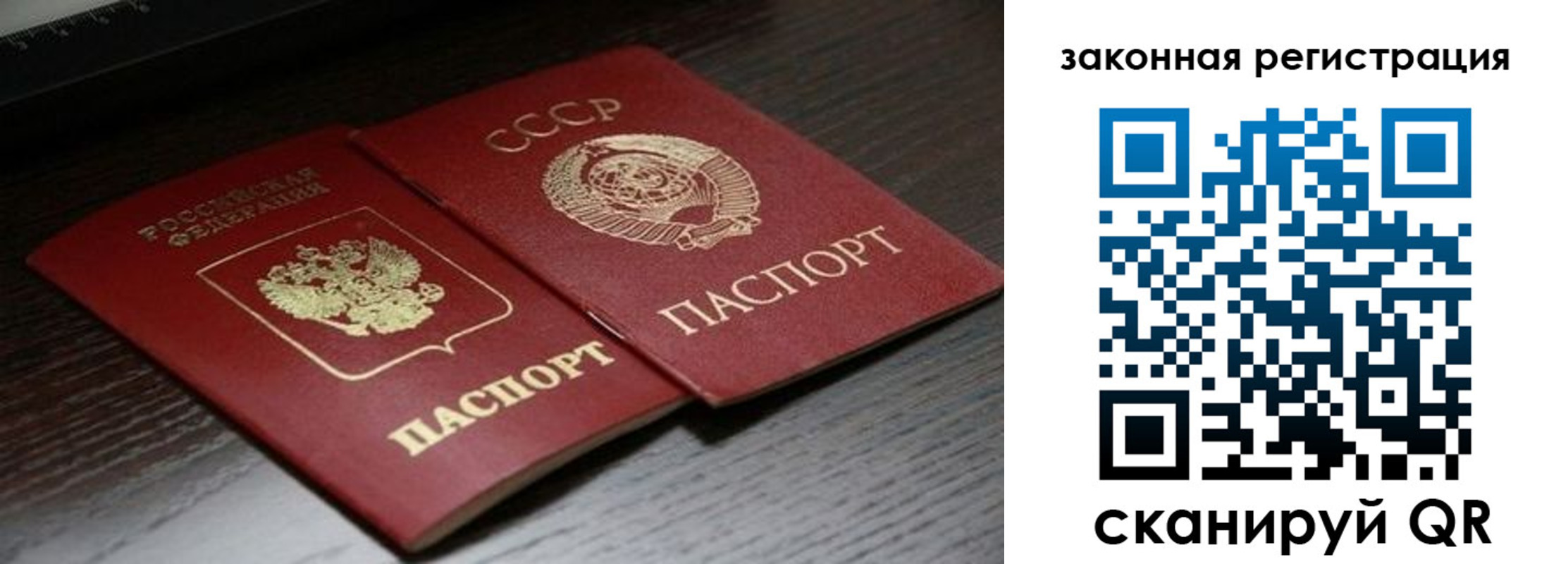 прописка поиск в Стародубе